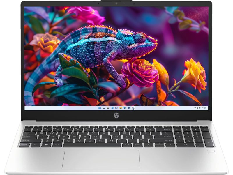 HP 15 Laptop (Core 3 100U/ 8GB DDR5 RAM/ 512GB SSD/ 15.6 inch/ DOS) HP 15