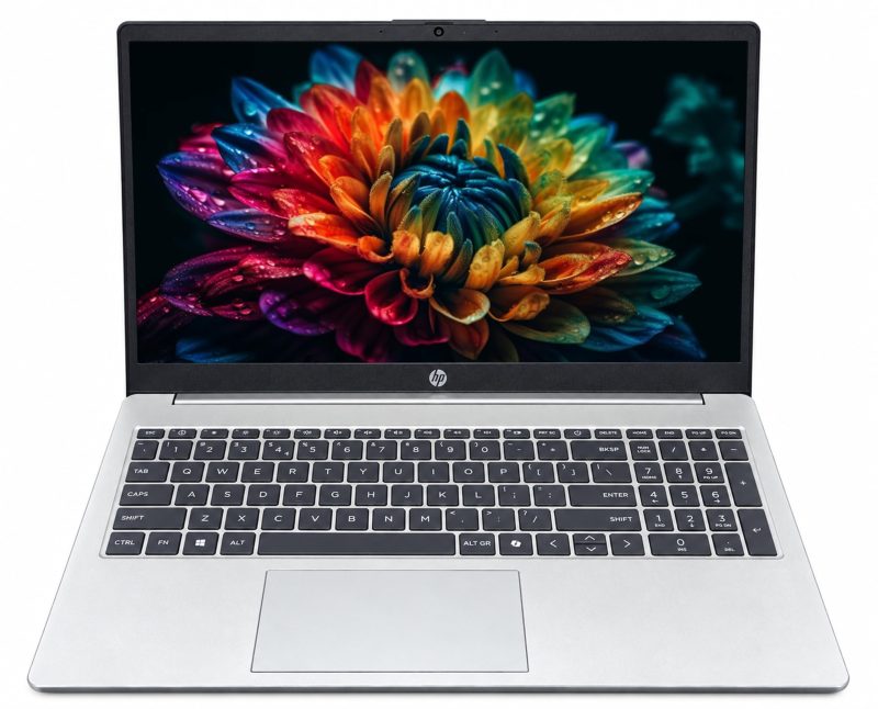 HP Professional 15 Laptop (Core 3 100U/ 16GB RAM/ 512GB SSD/ 15.6 inch)